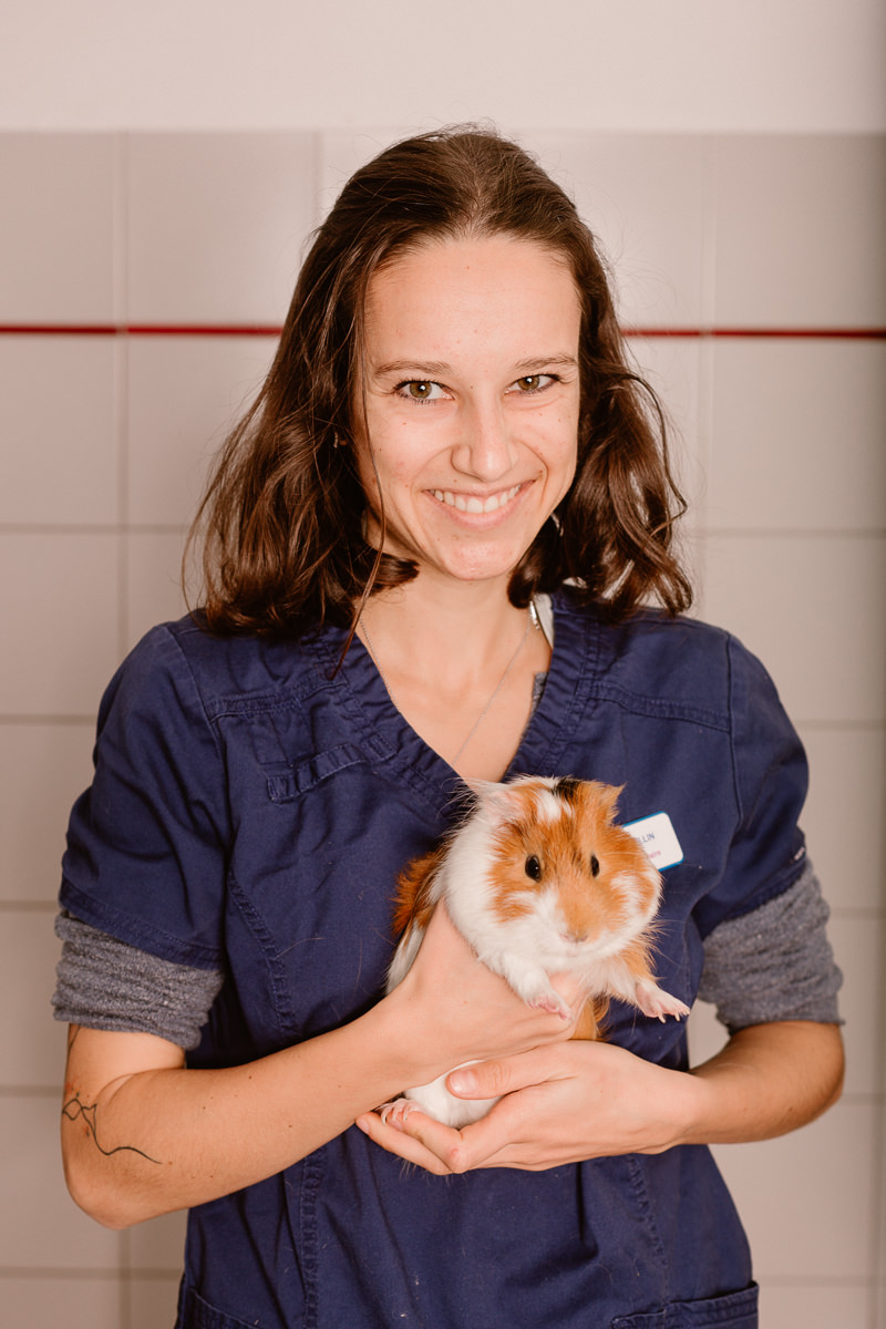clinique-veterinaire-val-d-arve-portrait-023