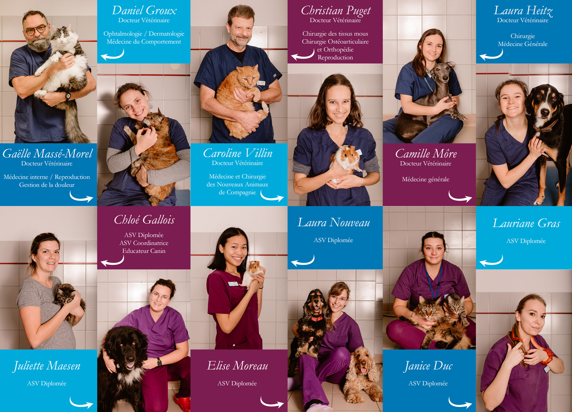 Clinique vétérinaire du Val d