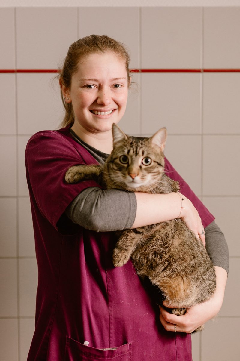 veterinaire-reignier-hautesavoie-001