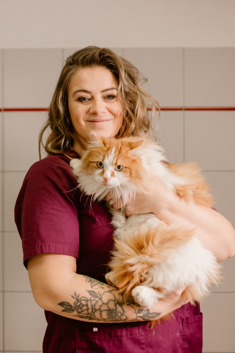 veterinaire-reignier-hautesavoie-004