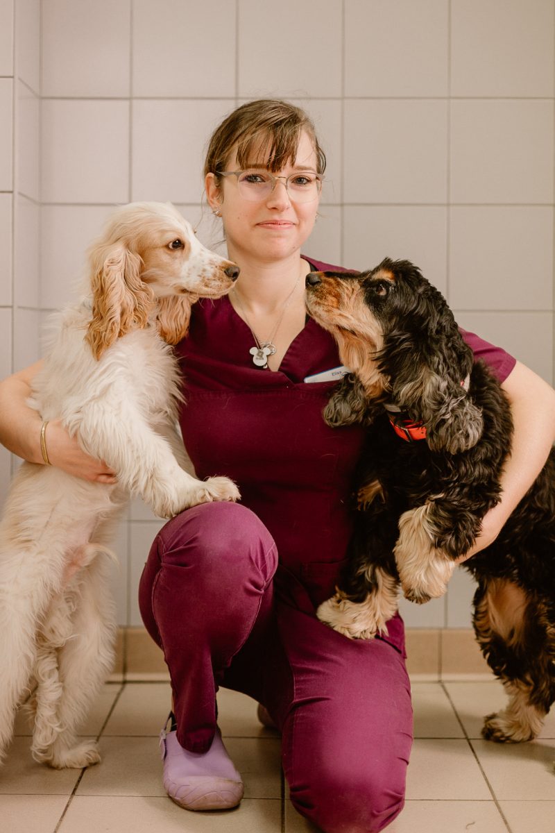 veterinaire-reignier-hautesavoie-006