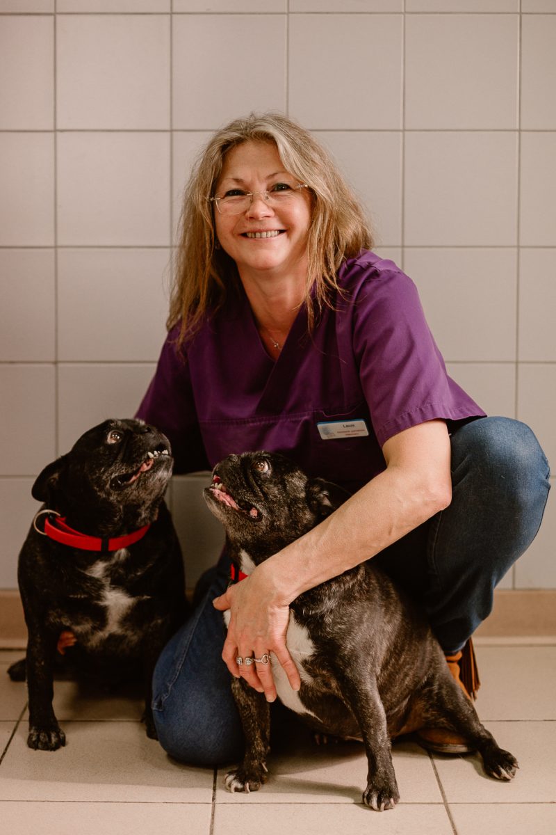 veterinaire-reignier-hautesavoie-008